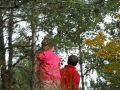 crèche en forêt Kayl