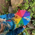 Couleurs et nature