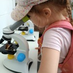 Visite au jardin des papillons