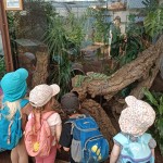 Visite au jardin des papillons suite