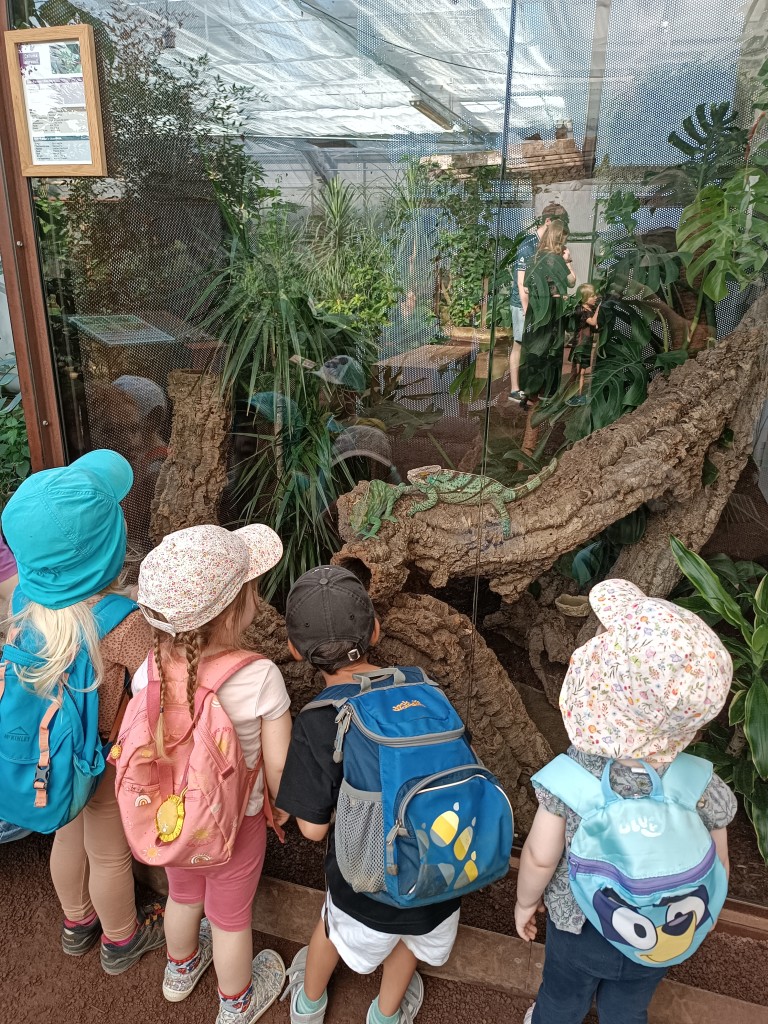 Visite au jardin des papillons suite